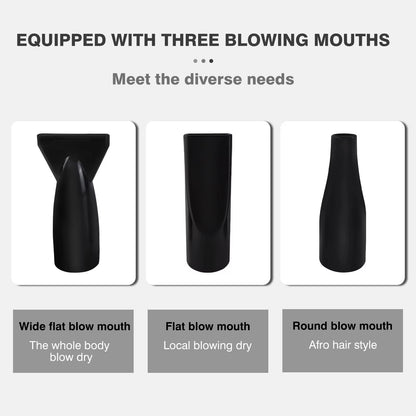 2000W-2800W Pet Hair Dryer, 35°C and 65 °C, Speed: 50M/S ~ 100M/S, Stepless Adjustable, 2.5M Extendable Hose, 3 Nozzles