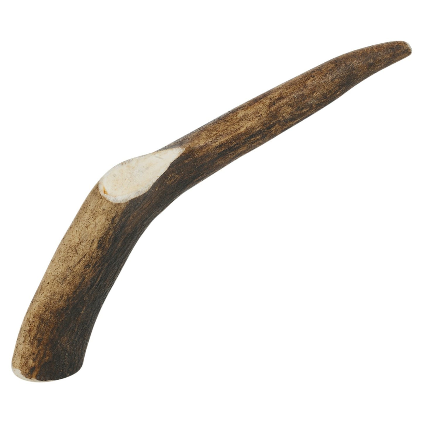 Genuine Natural Long Lasting Red Deer Elk Antlers Dog Chew Toy Treat