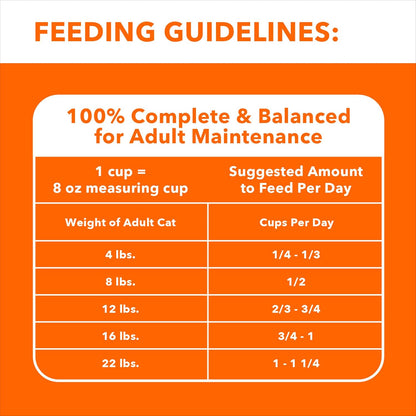 Proactive Health Adult Healthy Dry Cat Food with Real Salmon, 7 Lb. Bag